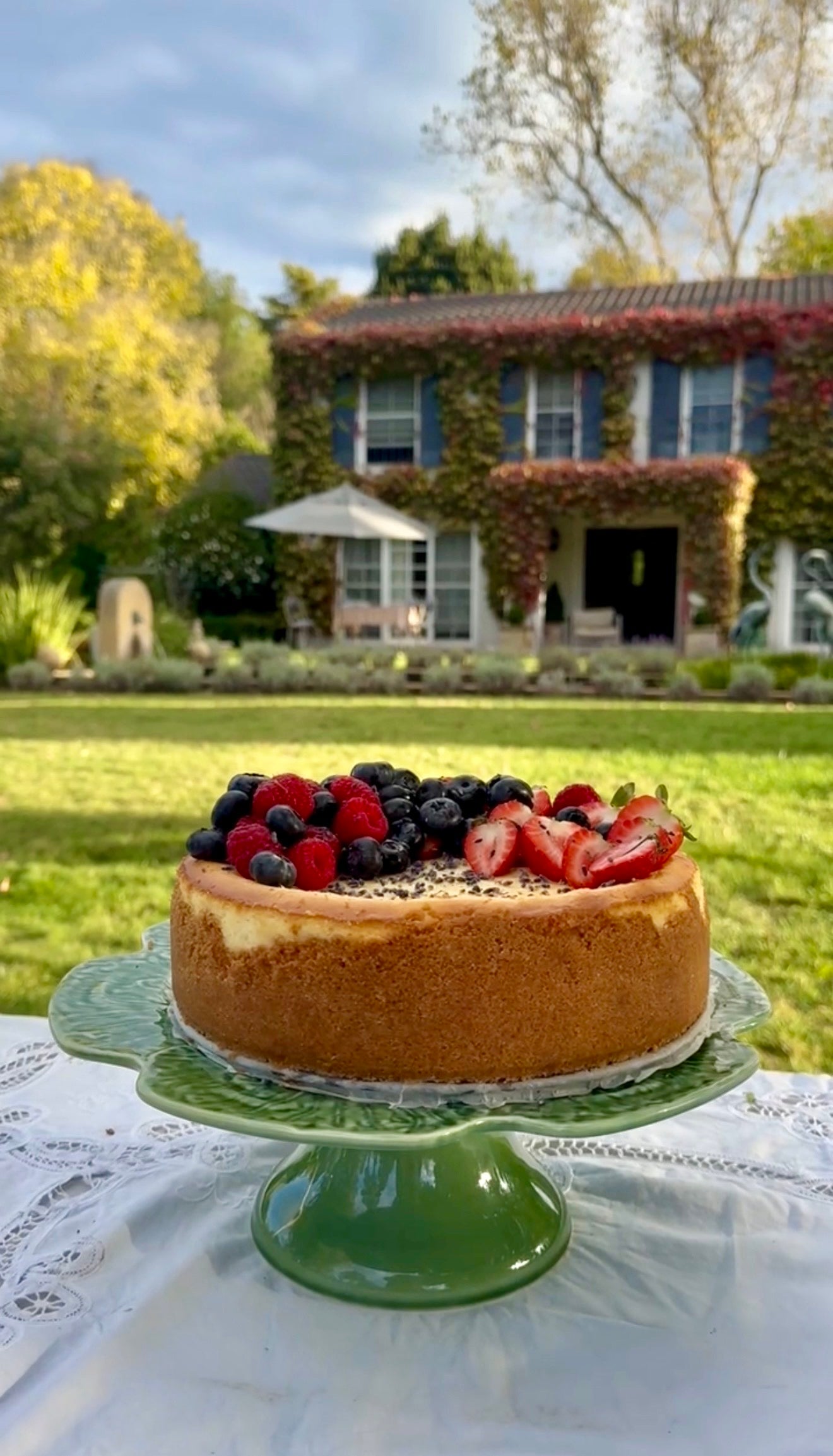 Grandma Sue's Lemon Cheesecake